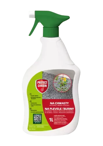 1 L