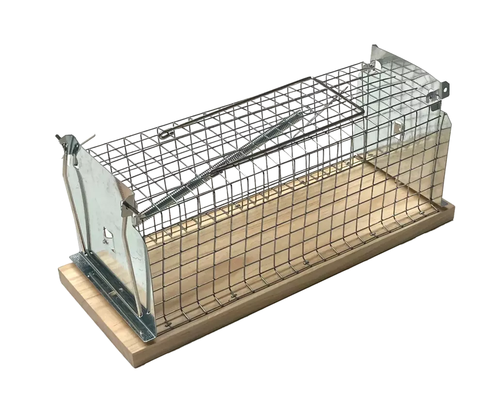 Zdjęcie produktu Żywołapka drewniana na szczury FSC - 1 szt.
